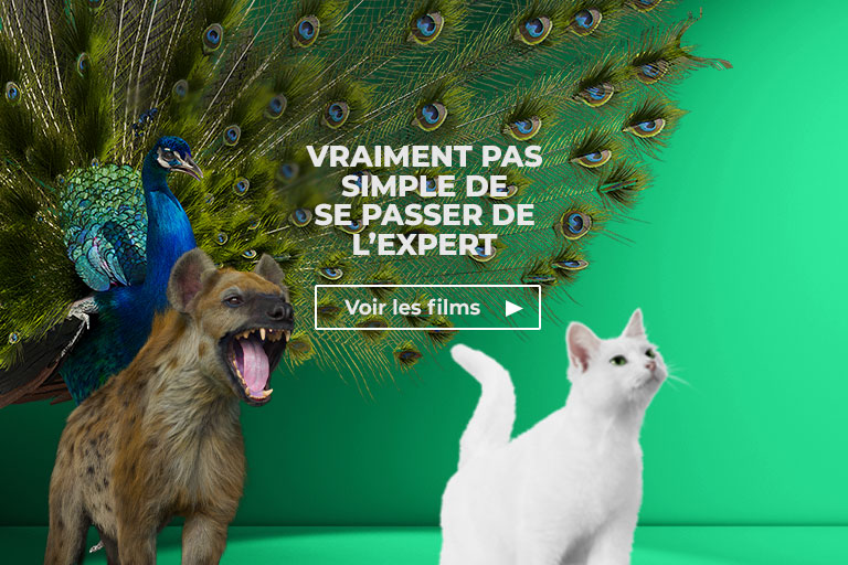 Pneu Pas Cher Pieces Auto Entretien Et Reparation Auto Feu Vert