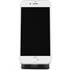 Support Téléphone avec ventouse universelle Kenu AirBase Magnetic