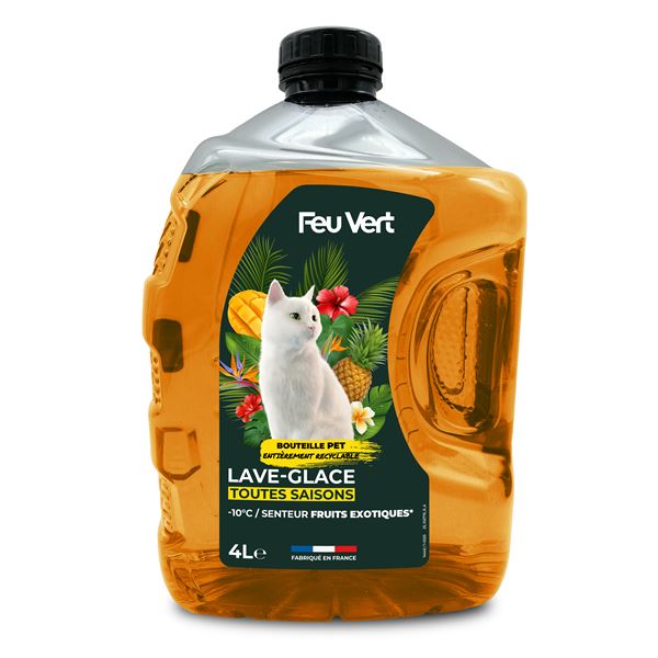 Lave-glace toutes saisons -10°C Feu Vert 4L fruits exotiques