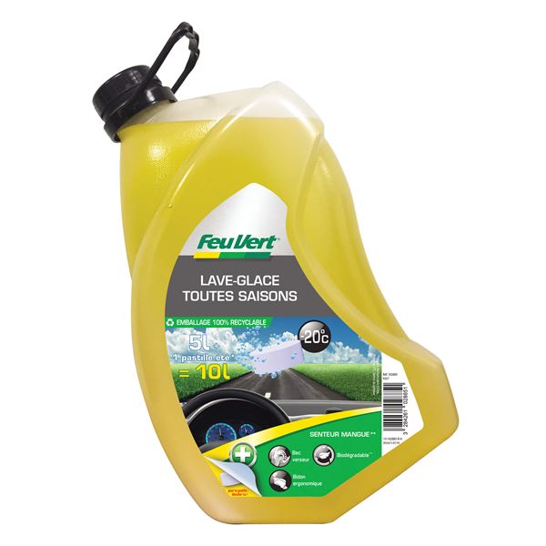 Lave-glace toutes saisons -20°C Feu Vert 5L + Pastille été 5L