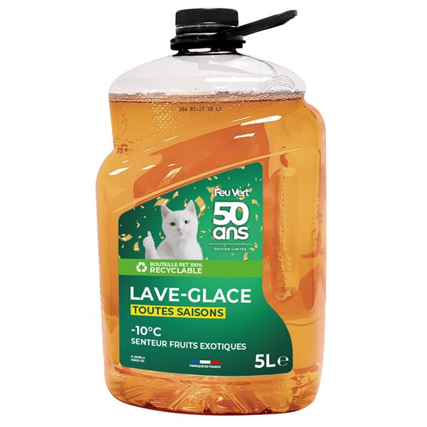 Lave-glace toutes saisons -10°C Feu Vert 5L