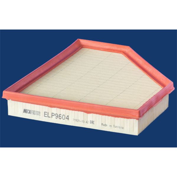 ELP9604 FILTRE A AIR VL