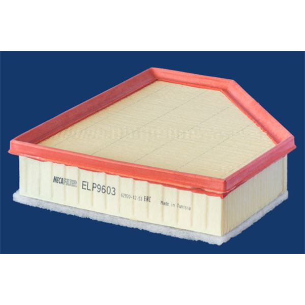 ELP9603 FILTRE A AIR VL
