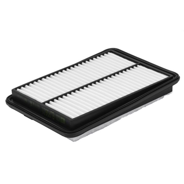 ELP9601 FILTRE A AIR VL