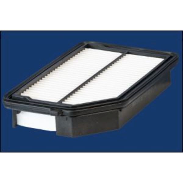 ELP9598 FILTRE A AIR VL