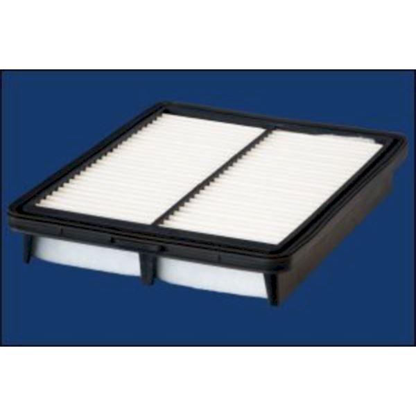 ELP9596 FILTRE A AIR VL