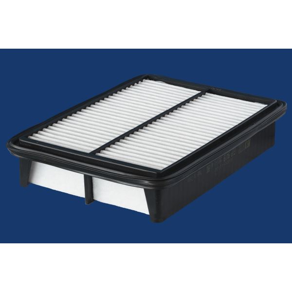 ELP9419 FILTRE A AIR VL