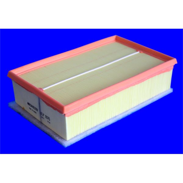 ELP9375 FILTRE A AIR VL