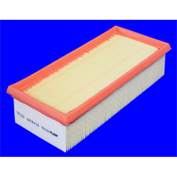 ELP9319 FILTRE A AIR VL