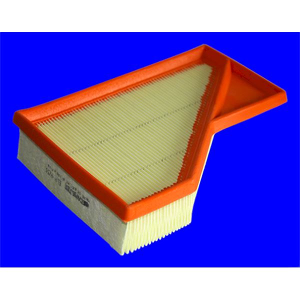 ELP9255 FILTRE A AIR VL