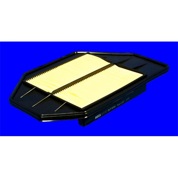ELP9234 FILTRE A AIR VL