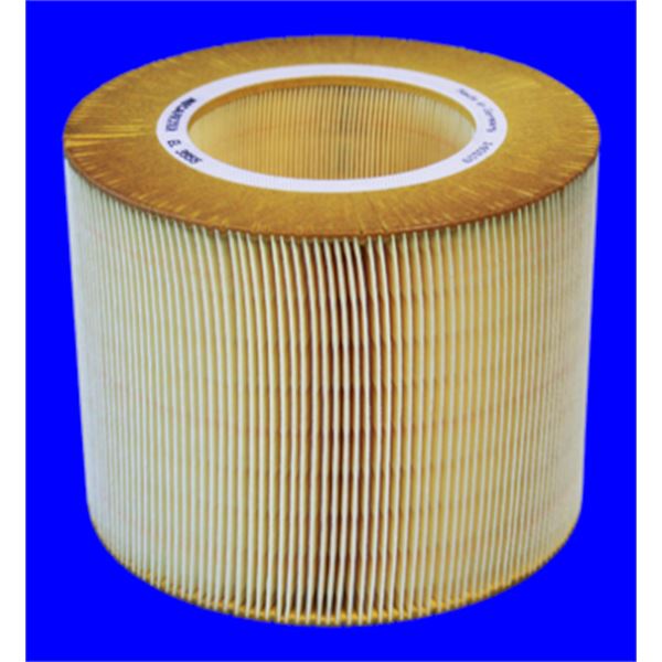 EL3955 FILTRE A AIR VL