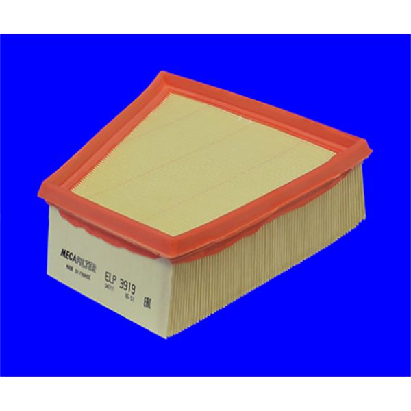 ELP3919 FILTRE A AIR VL