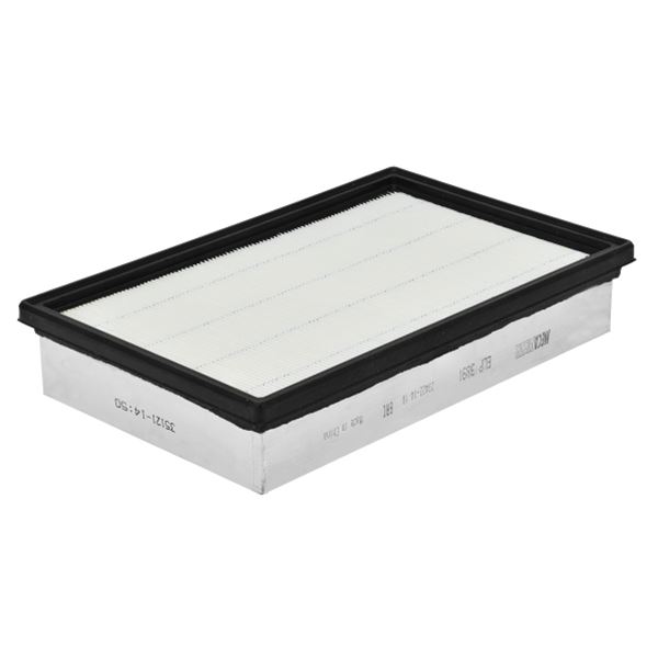 ELP3891 FILTRE A AIR VL