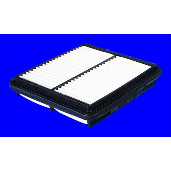 ELP3839 FILTRE A AIR VL