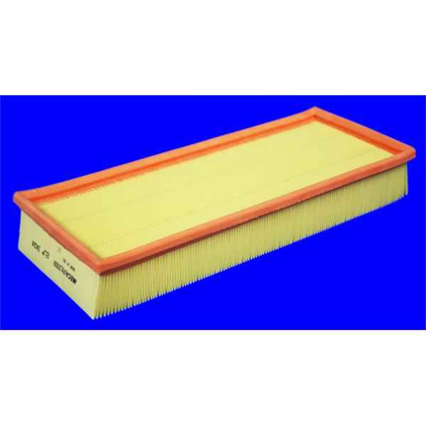 ELP3424 FILTRE A AIR VL