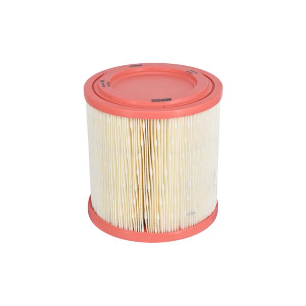 FA3389 FILTRE A AIR PL