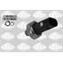 3706003 MANOCONTACT PRESSION H