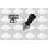 3706001 MANOCONTACT PRESSION H