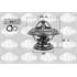 9000257 THERMOSTAT