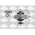 3381251 THERMOSTAT