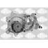 3606125 POMPE A EAU