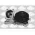 3606034 POMPE A EAU