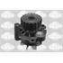 9000913 POMPE A EAU