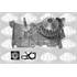 4001195 POMPE A EAU