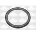 1954001 BAGUE ETANCHEITE VILEB