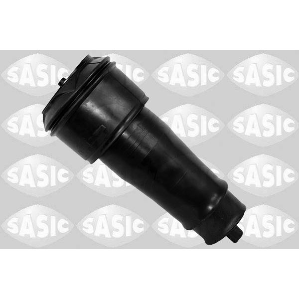2650046 RESSORT PNEUMATIQUE G/