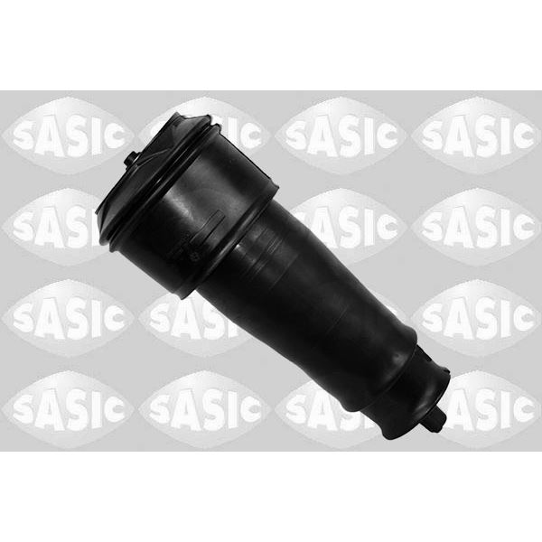 2650047 RESSORT PNEUMATIQUE G/
