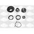 6403133 KIT REP. ROTULE PIVOT