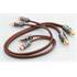 Cordon RCA Focal Elite EY 05