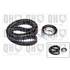 1 kit de distribution Quinton Hazell QBK815