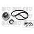 1 kit de distribution + 1 pompe à eau Quinton Hazell QBPK1281
