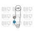 1 kit de distribution + 1 pompe à eau Quinton Hazell QBPK1320