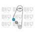 1 kit de distribution + 1 pompe à eau Quinton Hazell QBPK3310