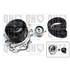 1 kit de distribution + 1 pompe à eau Quinton Hazell QBPK3580