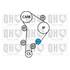1 kit de distribution + 1 pompe à eau Quinton Hazell QBPK4370