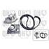1 kit de distribution + 1 pompe à eau Quinton Hazell QBPK5900
