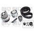 1 kit de distribution + 1 pompe à eau Quinton Hazell QBPK6251