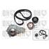 1 kit de distribution + 1 pompe à eau Quinton Hazell QBPK6440