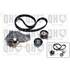 1 kit de distribution + 1 pompe à eau Quinton Hazell QBPK6450