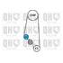 1 kit de distribution + 1 pompe à eau Quinton Hazell QBPK6681