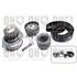 1 kit de distribution + 1 pompe à eau Quinton Hazell QBPK6790