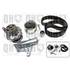 1 kit de distribution + 1 pompe à eau Quinton Hazell QBPK6881