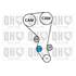 1 kit de distribution + 1 pompe à eau Quinton Hazell QBPK6940