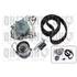 1 kit de distribution + 1 pompe à eau Quinton Hazell QBPK7590