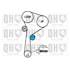 1 kit de distribution + 1 pompe à eau Quinton Hazell QBPK7640